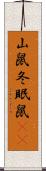 山鼠 Scroll