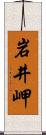 岩井岬 Scroll