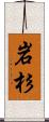 岩杉 Scroll