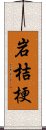 岩桔梗 Scroll