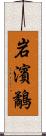 岩濱鷸 Scroll