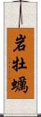 岩牡蠣 Scroll