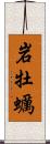 岩牡蠣 Scroll