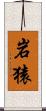 岩猿 Scroll