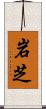 岩芝 Scroll