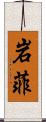 岩菲 Scroll