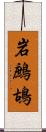 岩鷓鴣 Scroll