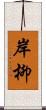岸柳 Scroll