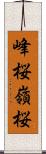 峰桜 Scroll