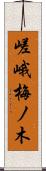 嵯峨梅ノ木 Scroll