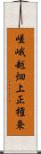 嵯峨越畑上正権条 Scroll