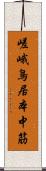 嵯峨鳥居本中筋 Scroll