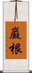 巌根 Scroll