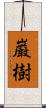 巌樹 Scroll