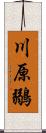 川原鶸 Scroll