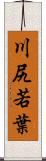 川尻若葉 Scroll