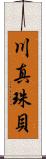 川真珠貝 Scroll