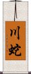 川蛇 Scroll
