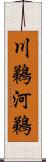 川鵜 Scroll