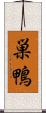 巣鴨 Scroll