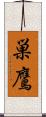 巣鷹 Scroll