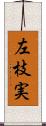 左枝実 Scroll