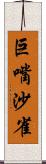 巨嘴沙雀 Scroll