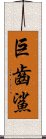 巨齒鯊 Scroll