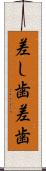 差し歯 Scroll