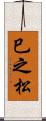 巳之松 Scroll