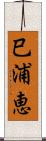 巳浦恵 Scroll