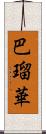 巴瑠華 Scroll