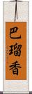 巴瑠香 Scroll