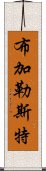 布加勒斯特 Scroll