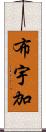 布宇加 Scroll