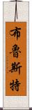 Brewster Scroll