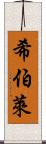 希伯萊 Scroll