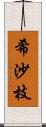 希沙枝 Scroll