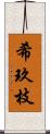 希玖枝 Scroll