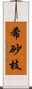 希砂枝 Scroll