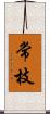 常枝 Scroll