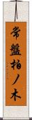 常盤柏ノ木 Scroll