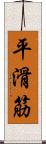 平滑筋 Scroll