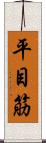 平目筋 Scroll