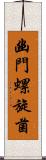 幽門螺旋菌 Scroll