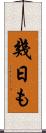 幾日も Scroll