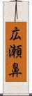 広瀬鼻 Scroll