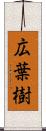 広葉樹 Scroll