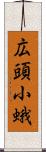 広頭小蛾 Scroll