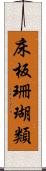 床板珊瑚類 Scroll